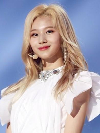 パクソジュン、ソンジュンギ、イミンホ、東方神起、KARA、ソンヘギョ、イミンホ、ハンソヒ、イジュンギ、TWICE、サナ、ニキ、iu、アイユ、bts、韓国芸能人、人気韓国俳優、人気kpopアイドル、韓流