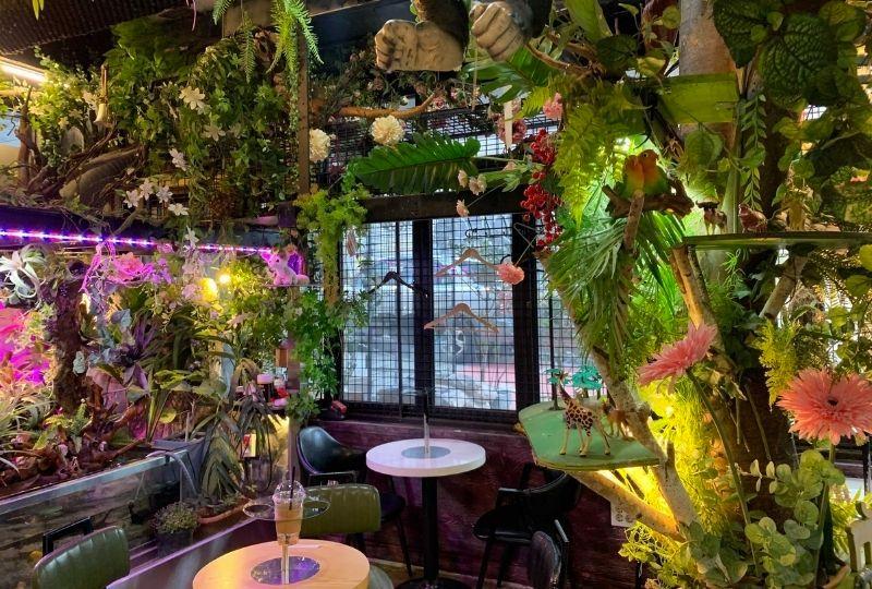 บรรยากาศภายในร้าน Cafe Table A ที่ฮงแด ประดับด้วยต้นไม้และดอกไม้หลากสีสัน ทำให้ดูราวกับในป่า เหมาะสำหรับคู่รักในบรรยากาศโรแมนติกในฮงแด ประเทศเกาหลีใต้