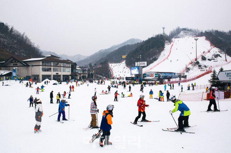 ผู้คนกำลังเล่นสกีอยู่ที่ Elysian Gangchon สถานที่ยอดนิยมสำหรับการออกเดทและท่องเที่ยวบนหิมะในเกาหลีใต้ในช่วงฤดูหนาว
