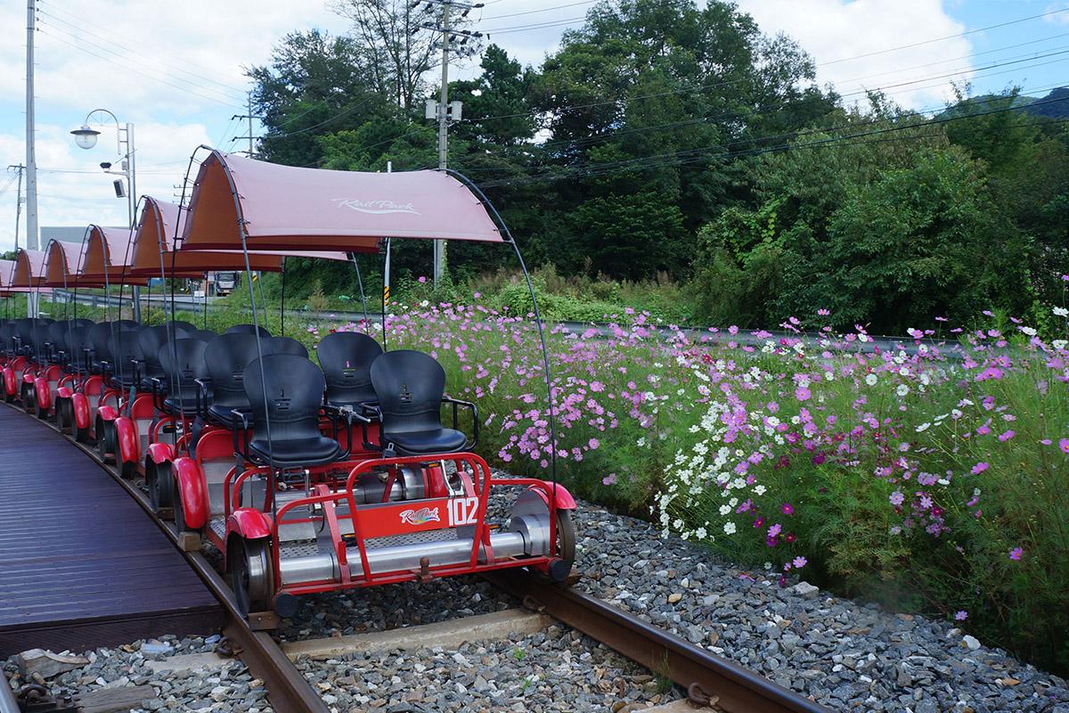 南怡島 + 小法國村 + 意大利村 + 鐵路單車 + 晨靜樹木園一日遊
