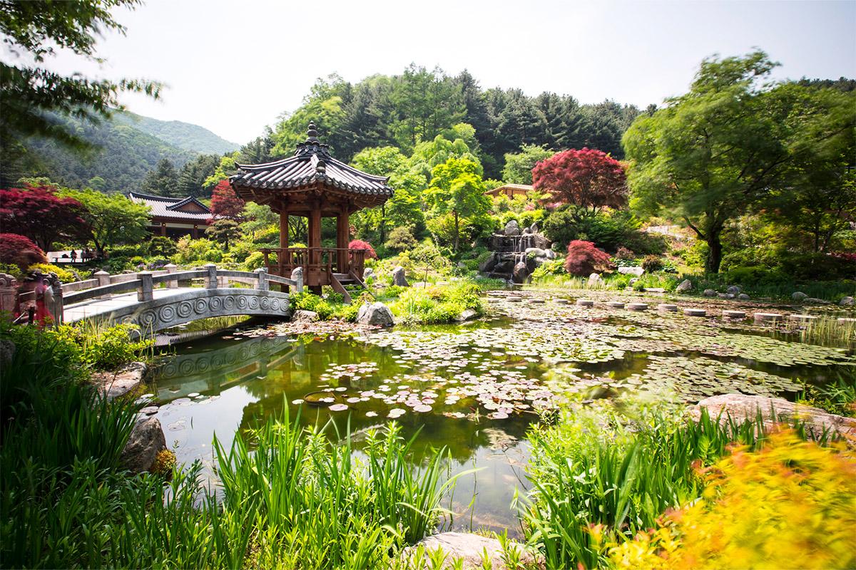 韓國必去景點推薦 晨靜樹木園