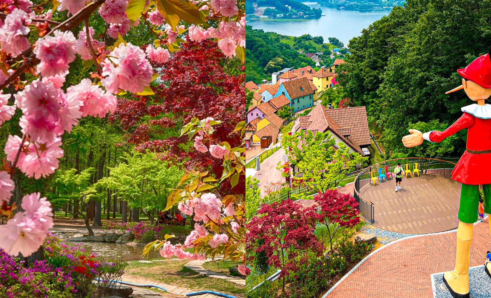 Tour 1 ngày đi đảo Nami, Petite France, Làng Ý, Xe đạp đường sắt và Garden of Morning Calm