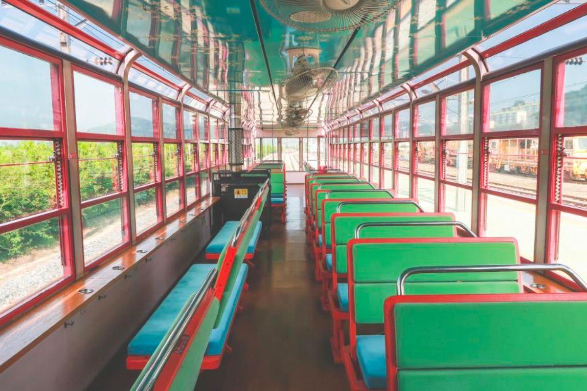 Các loại tàu ở Hàn Quốc, tàu tham quan hàn quốc v train