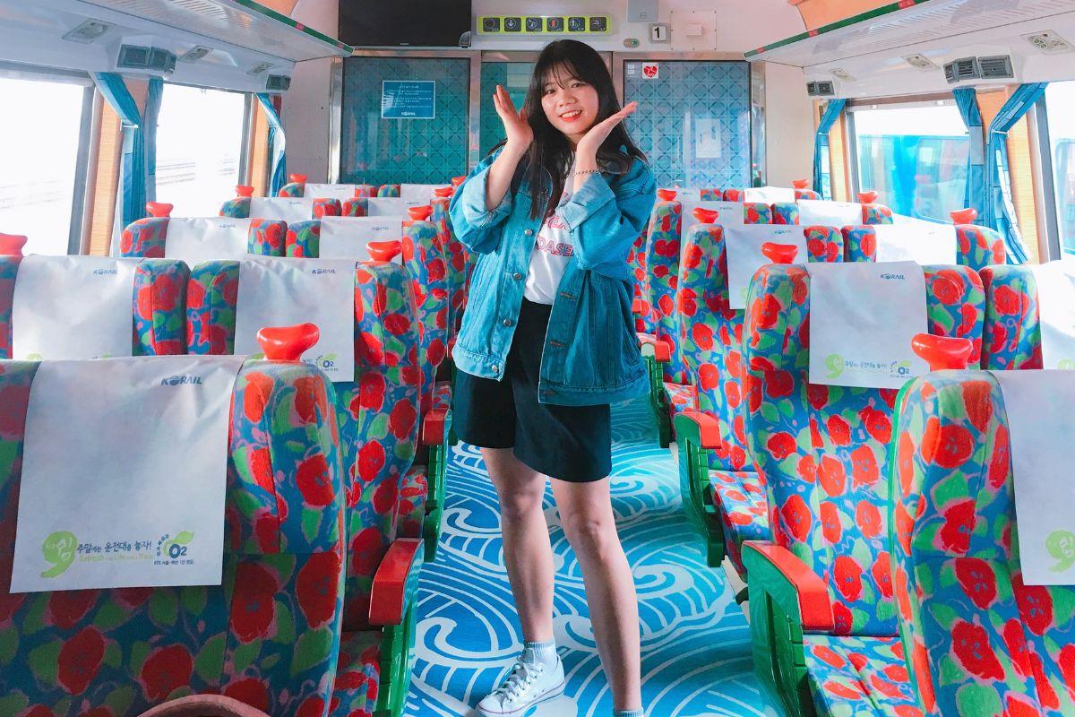 Các loại tàu ở Hàn Quốc, tàu tham quan hàn quốc s-train south coast train