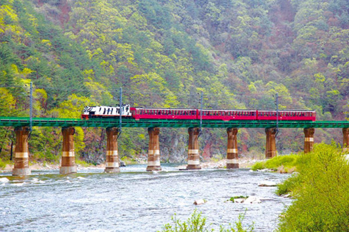 Các loại tàu ở Hàn Quốc, tàu tham quan hàn quốc v train