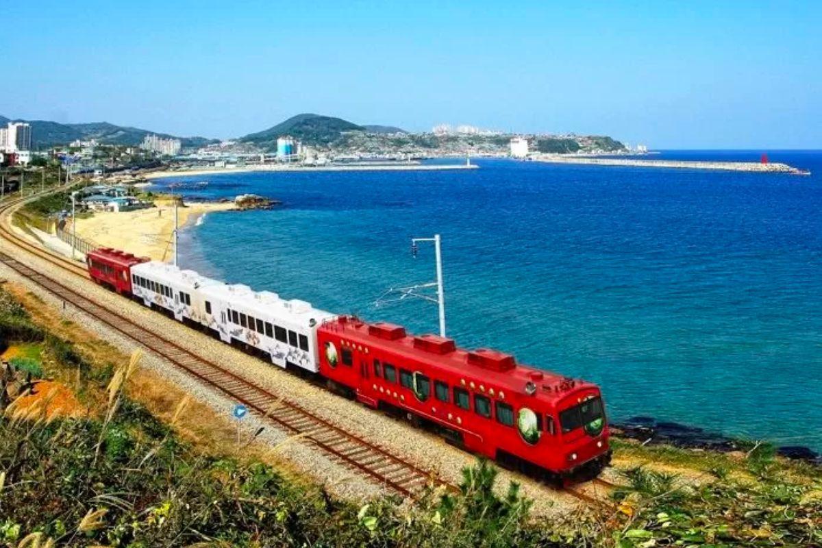 Tàu sea Train, các loại tàu ở hàn