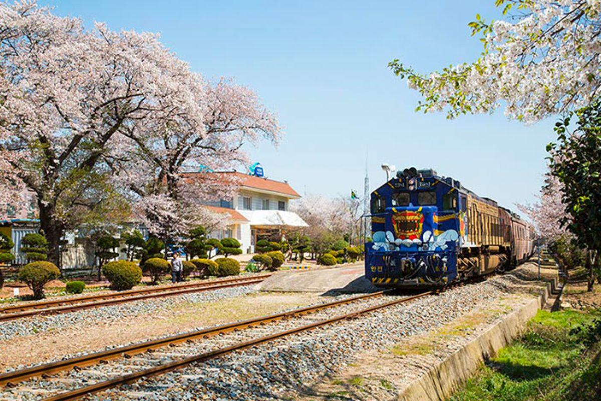 Các loại tàu ở Hàn Quốc, tàu tham quan hàn quốc s-train south coast train