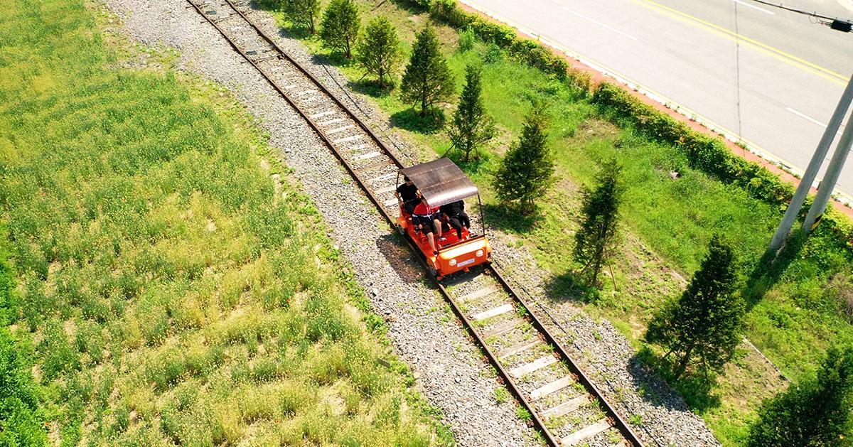 Alpaca World + Chuncheon Dakgalbi + Railbike + Strawberry Picking Day Tour