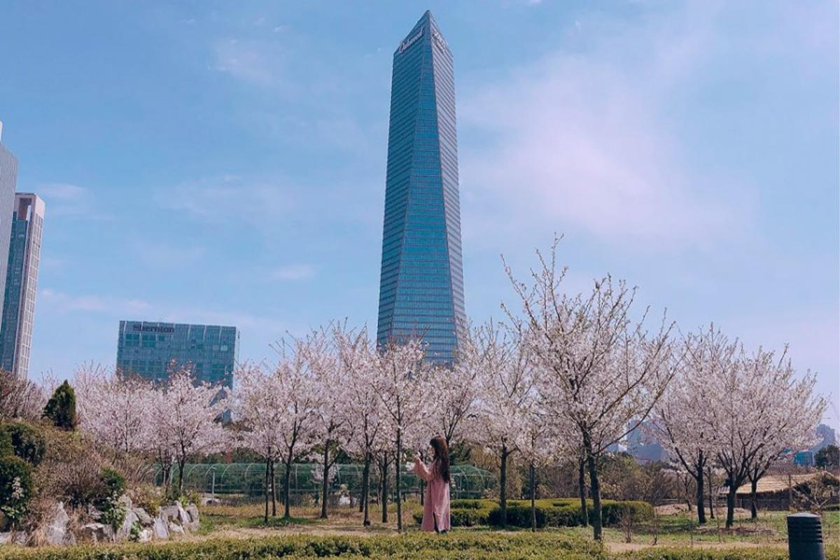 Incheon Azalea & Cherry Blossom + Traditional Market + Songdo Private Tour