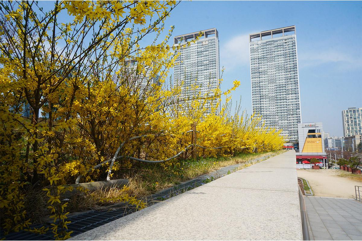 Scenic view with water taxis and bridges at Songdo Central Park, surrounded by contemporary skyscrapers reflecting on the water.