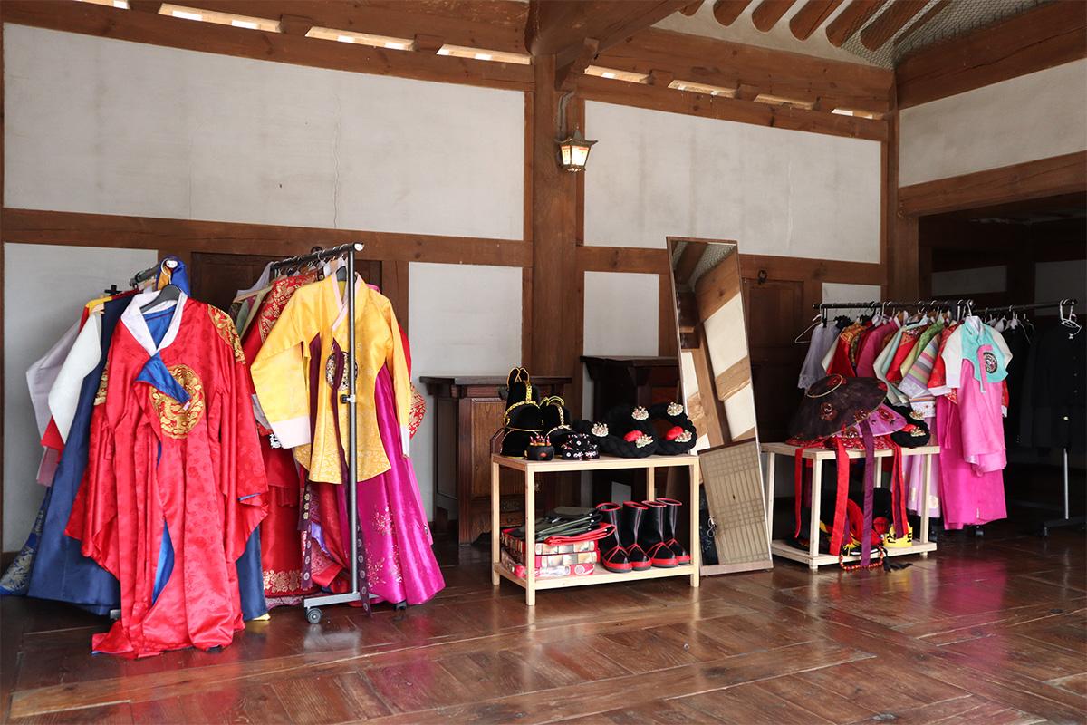 A group of deer peacefully roaming in their habitat at Wolmi Park, adding to the park's natural ecological setting.