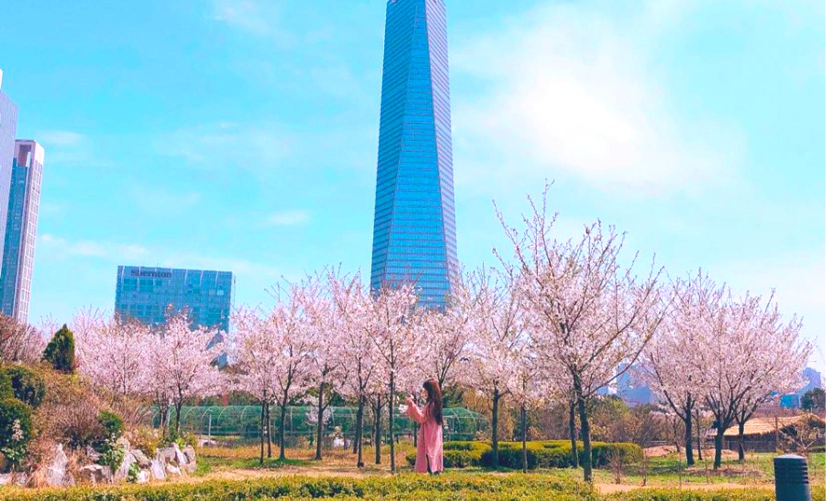 Tour 1 ngày ngắm hoa đỗ quyên, hoa anh đào, chợ truyền thống và công viên Songdo ở Incheon
