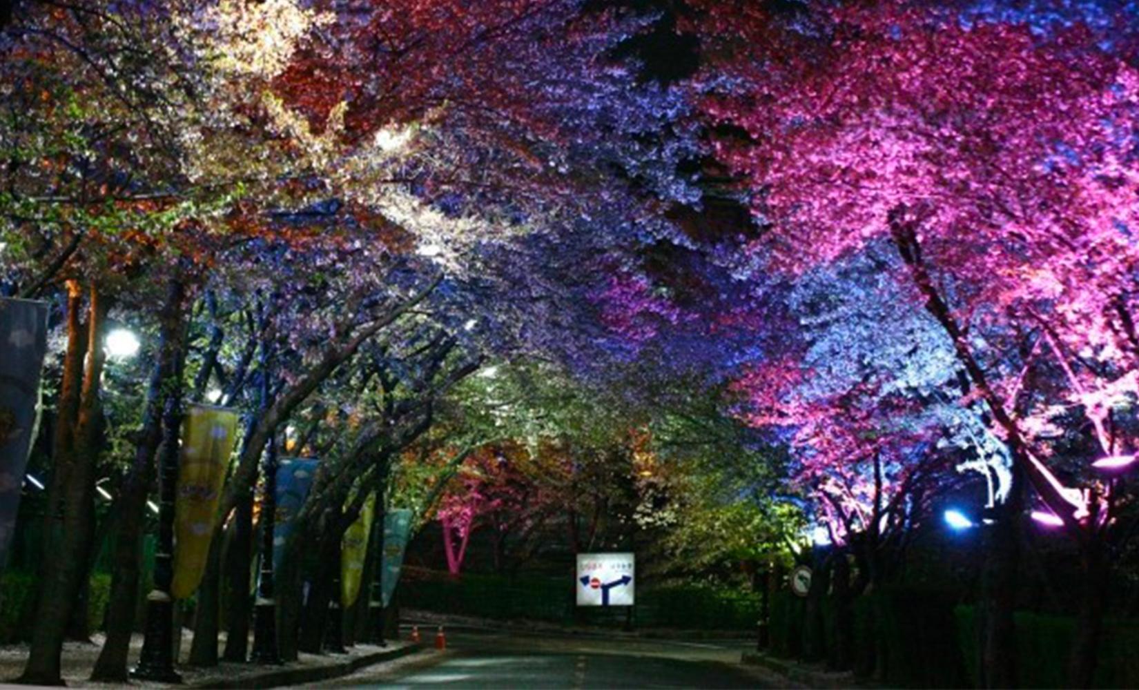 Tour trọn gói 1 ngày hái dâu tây, khám phá Songdo và cảnh đêm ở công viên Subong, Incheon