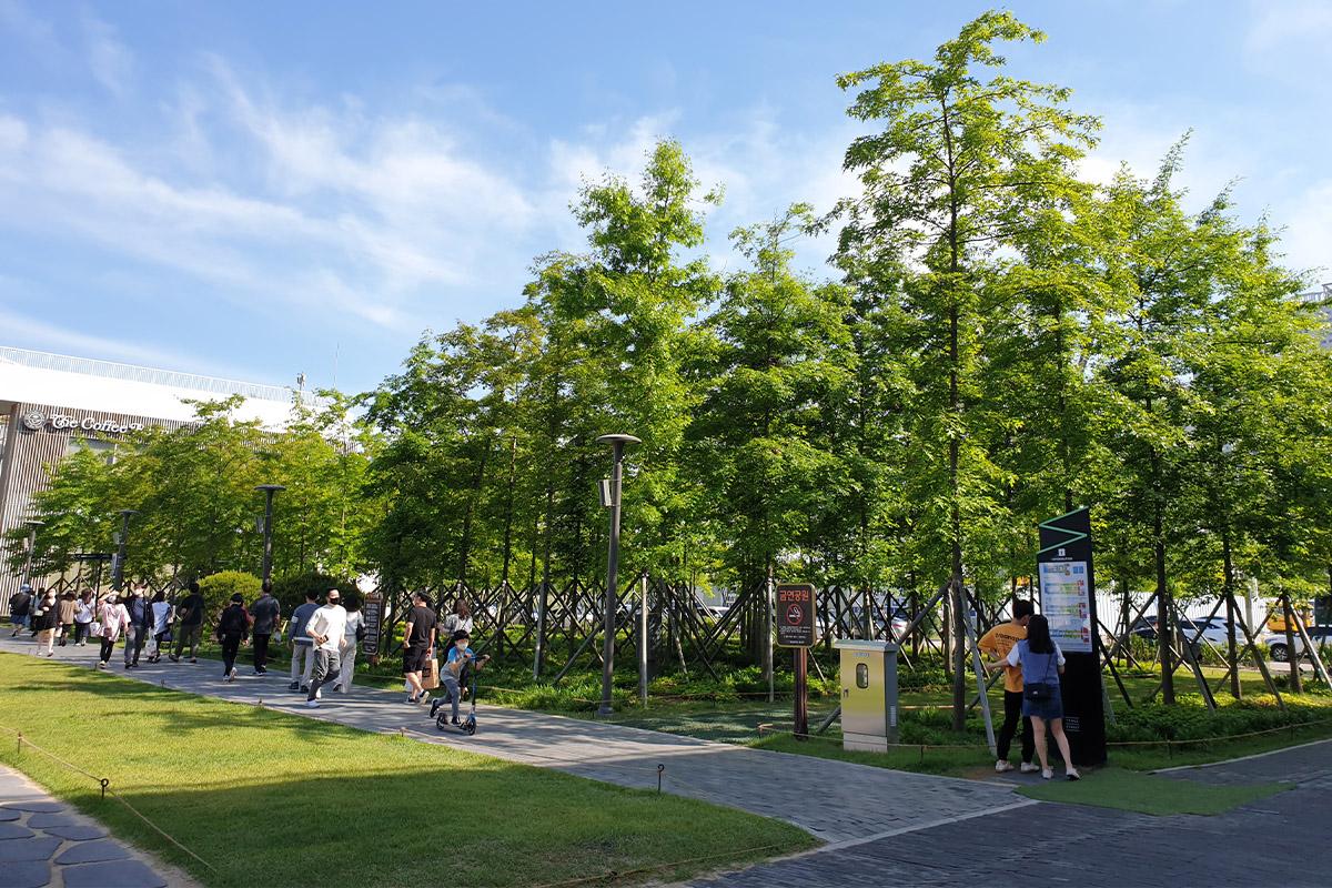 韓国旅行 仁川 韓国アクティビティ 韓国いちご狩り 松島セントラルパーク 松島 TRIPLE STREET 寿鳳公園 韓国夜景