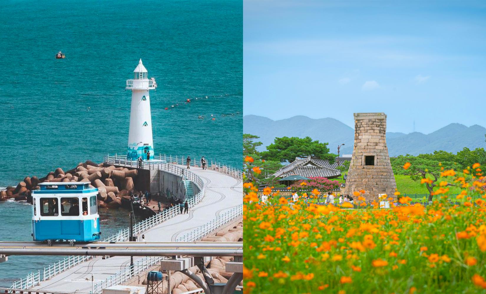 Tour du lịch 1 ngày khám phá Busan và Gyeongju, Khởi hành từ Busan