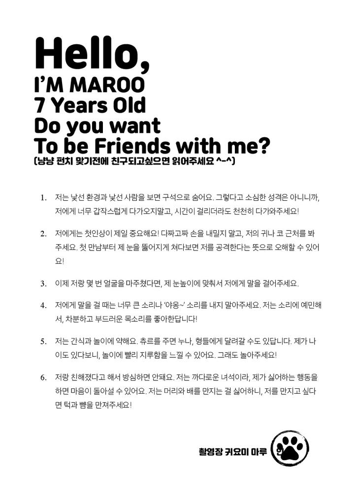 猫関連の撮影現場規則が書かれた映画「ソウルメイト」のドキュメント。