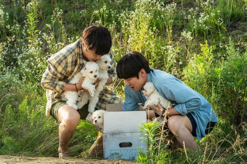 映画「モンムンイ」で、コンボックスから子犬を救うシーン。
