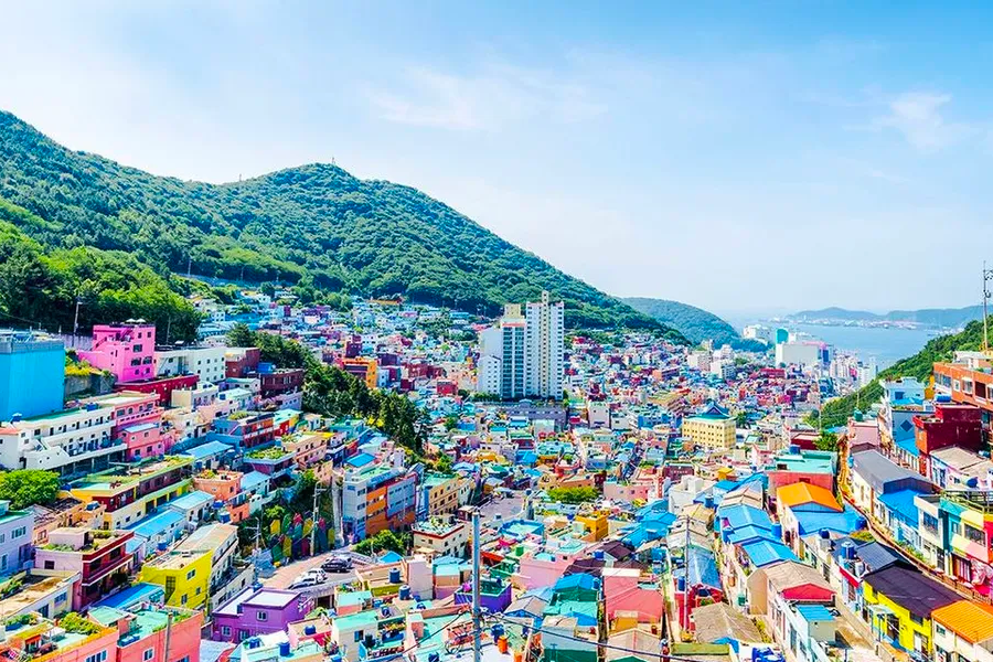 釜山機場 金海機場巴士 2025 海雲台 西面機場巴士 釜山機場 金海機場巴士