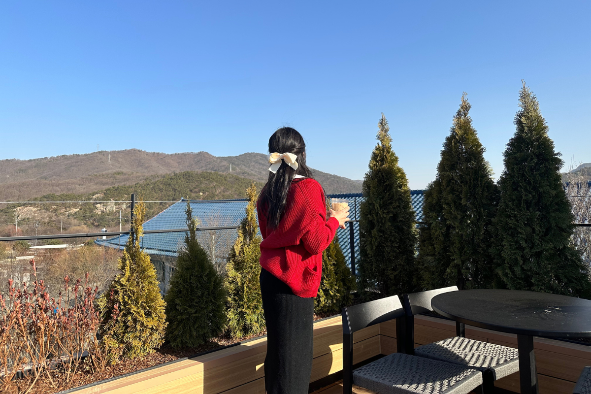 Сладкий десерт с ягодным топпингом, поданный на террасе Starbucks, с видом на горы