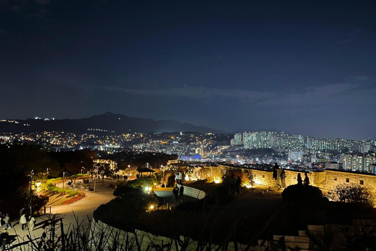 ทัวร์พาไปเดินเล่นยามค่ำคืนสุดโรแมนติกและชิมอาหารแบบคนเกาหลีที่สวนนักซาน