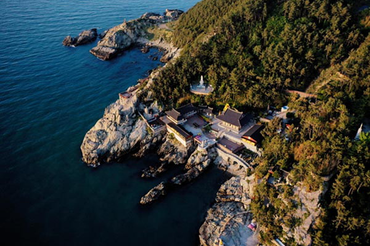 Aerial view of Haedong Yonggungsa Temple nestled between a forest and the sea.