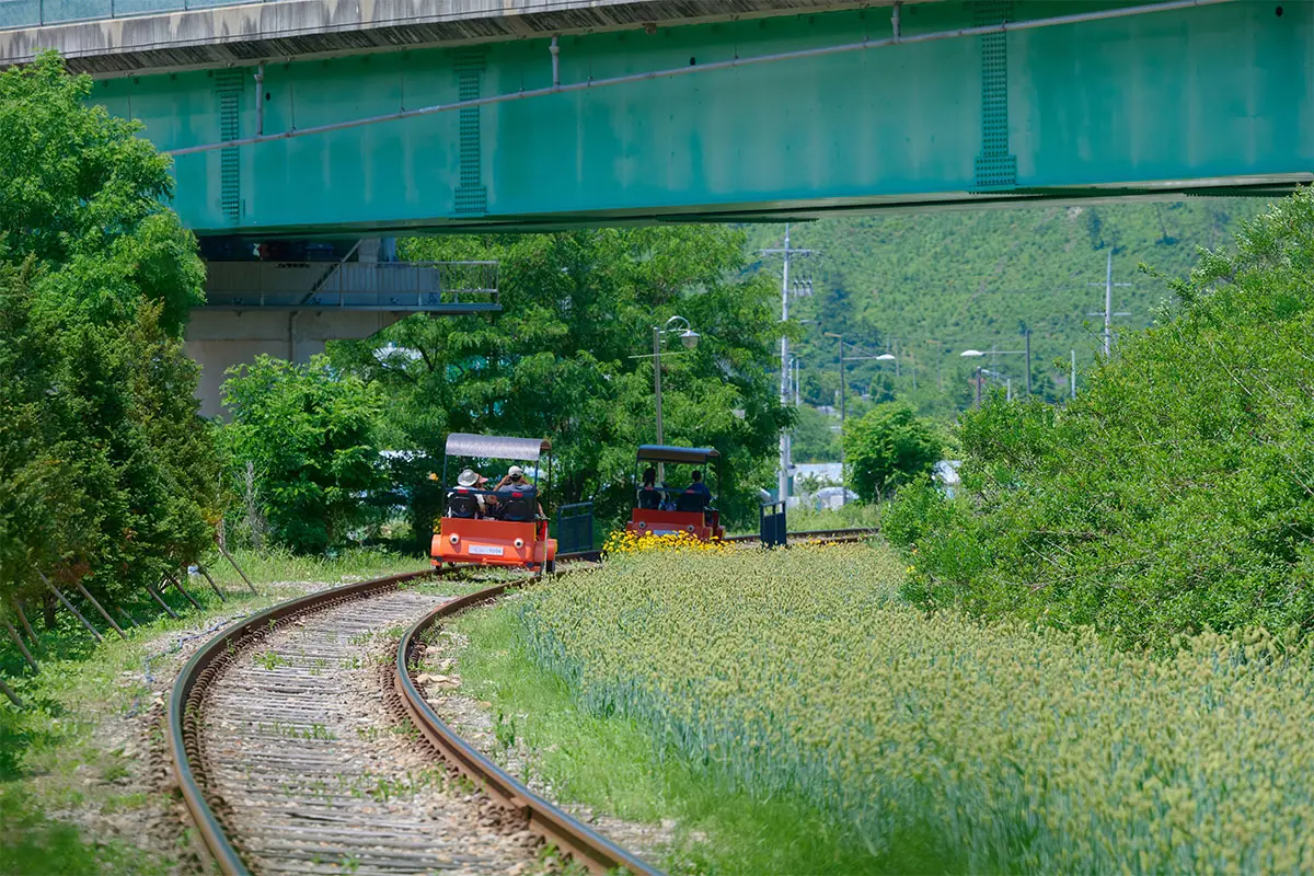 江村鐵路單車在蜿蜒綠色山景下行駛，遊客悠閒享受自然景觀的旅途。