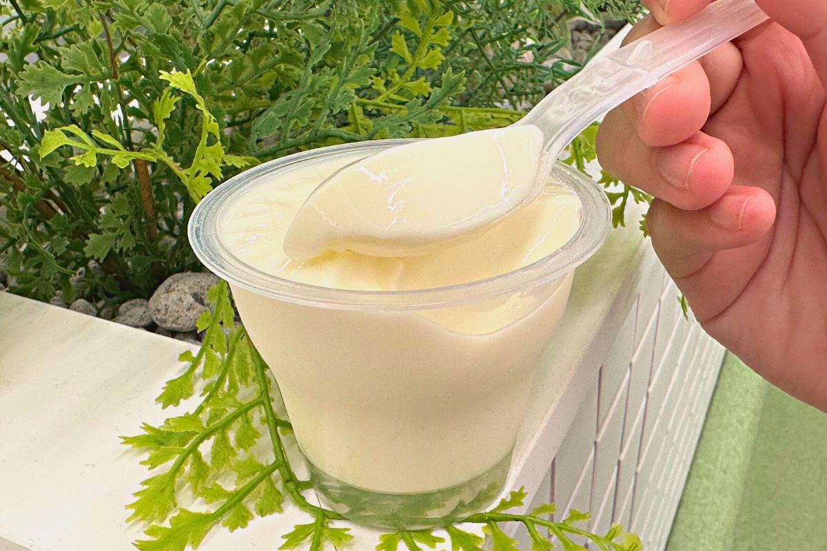 jjanggu pudding hàn quốc