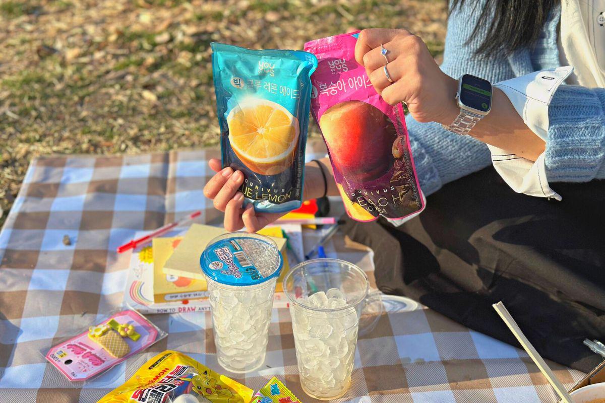 韓国 韓国旅行 ソウル 漢江 漢江公園 ハンガン ピクニック 韓国ピクニック 韓国コンビニ 韓国食品 韓国グルメ 韓国料理 韓国文化 韓国観光
