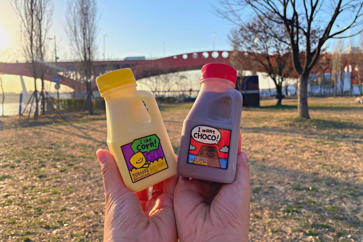 韓国 韓国旅行 ソウル 漢江 漢江公園 ハンガン ピクニック 韓国ピクニック 韓国コンビニ 韓国食品 韓国グルメ 韓国料理 韓国文化 韓国観光