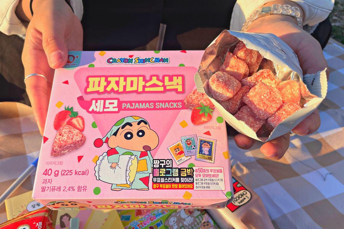 đồ ăn khi picnic ở công viên sông Hàn, Seoul