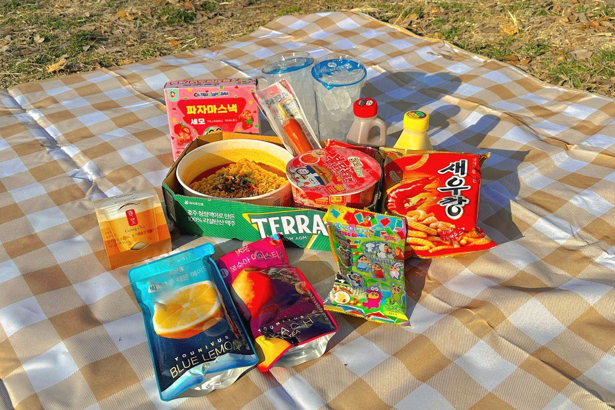 đồ ăn khi picnic ở công viên sông Hàn, Seoul