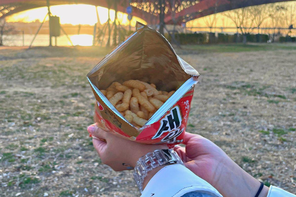 bimbim tôm sewoogang, đồ ăn khi picnic ở công viên sông Hàn, Seoul