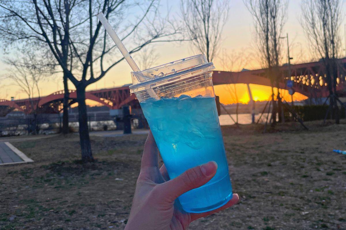 韓国 韓国旅行 ソウル 漢江 漢江公園 ハンガン ピクニック 韓国ピクニック 韓国コンビニ 韓国食品 韓国グルメ 韓国料理 韓国文化 韓国観光