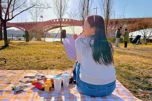 đi picnic ở công viên sông Hàn, Seoul