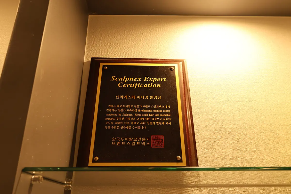 韓国旅行 韓国美容 韓国美容旅行 ソウル ソウル旅行 明洞 韓国エステ SHILLA