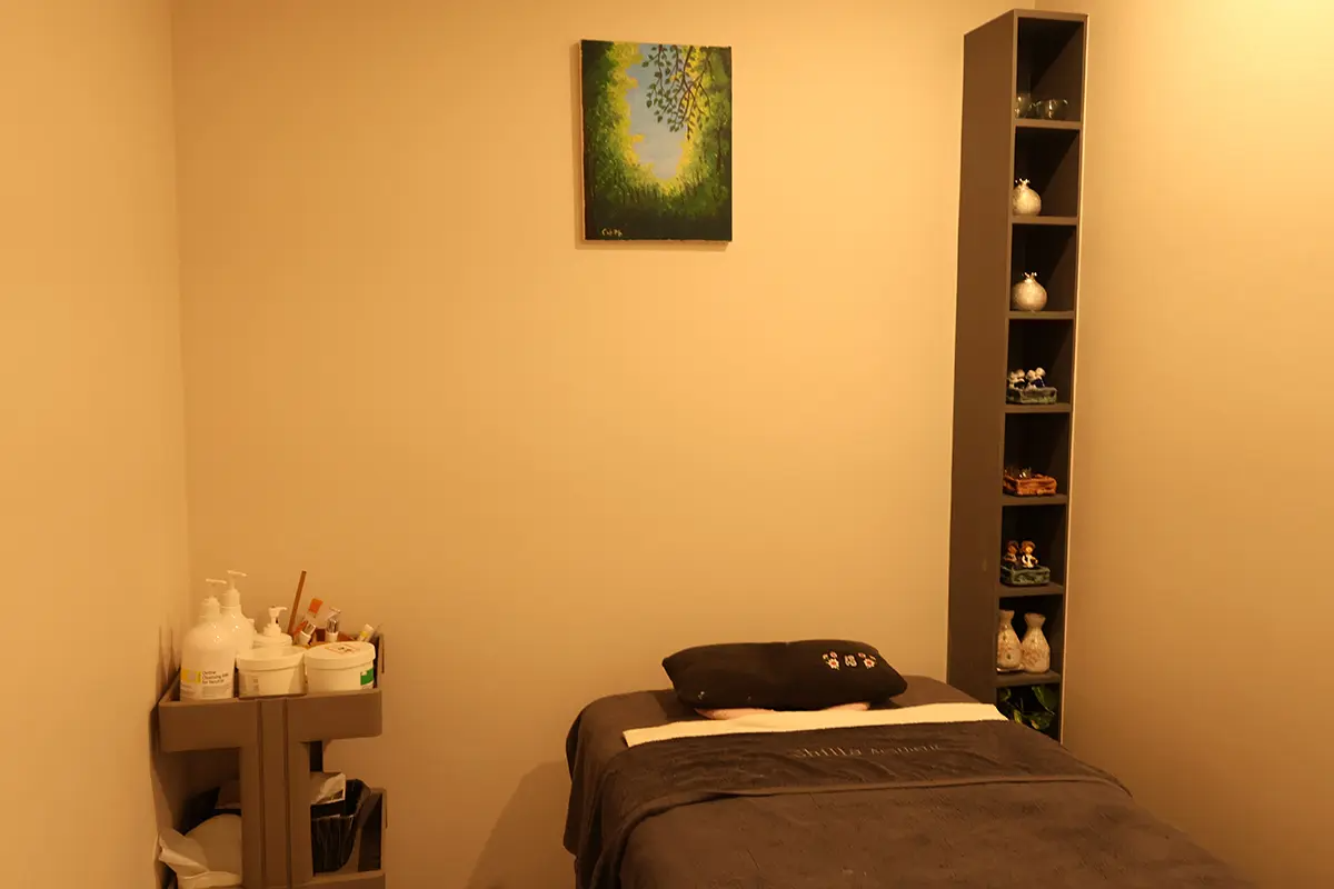 韓国旅行 韓国美容 韓国美容旅行 ソウル ソウル旅行 明洞 韓国エステ SHILLA