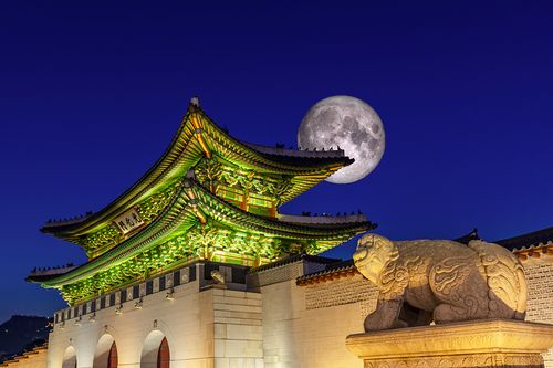 Vé vào cửa ban đêm Cung điện Gyeongbokgung mùa xuân 2023