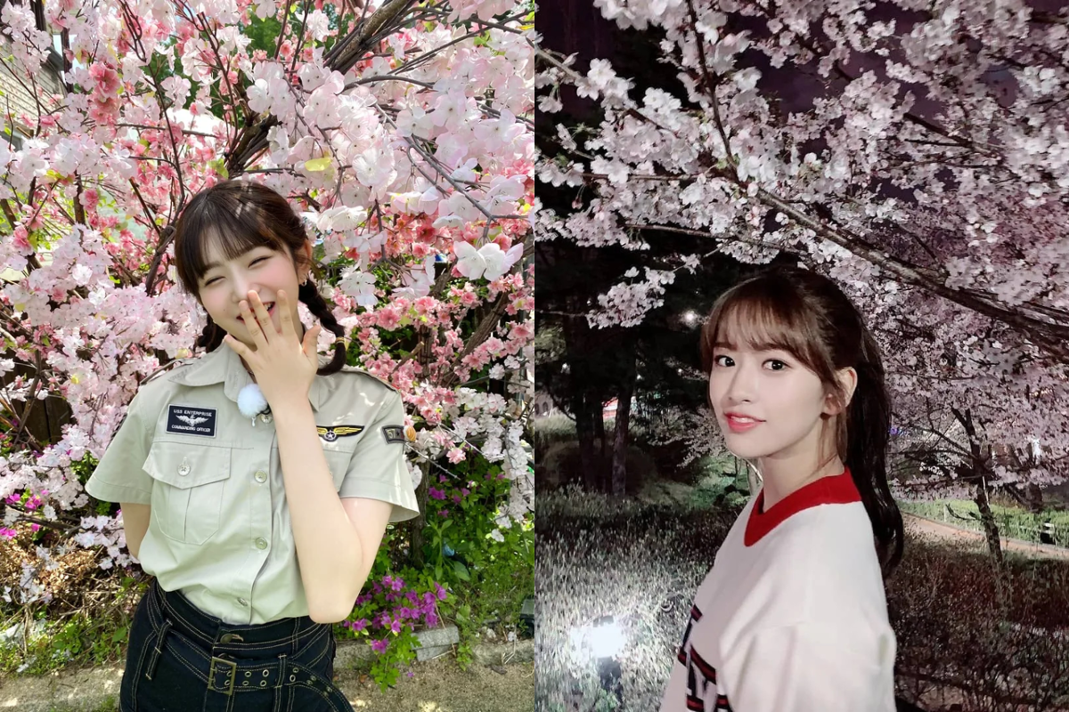 IVE members captured by reporters among cherry blossoms, showcasing the blend of nature and youthful energy.