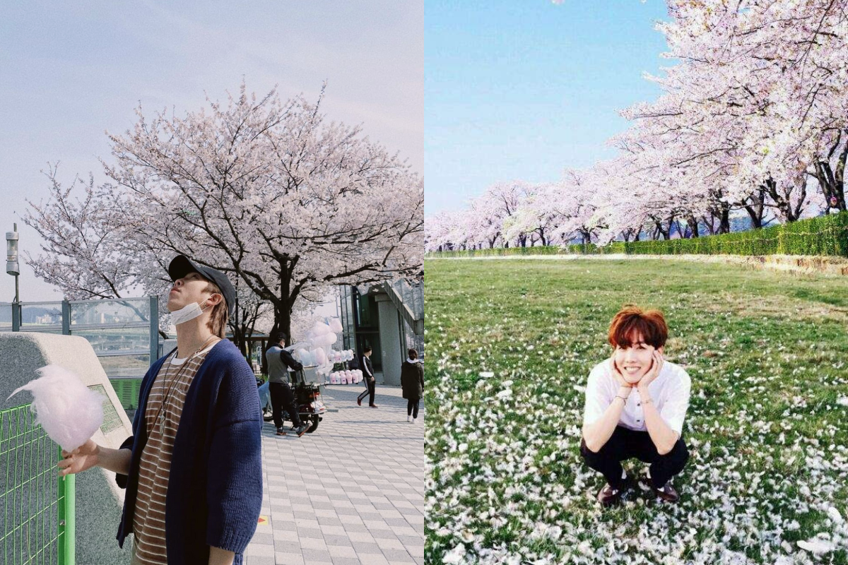 BTS member standing under cherry blossoms, capturing the essence of being surrounded by nature's blooms in Korea.