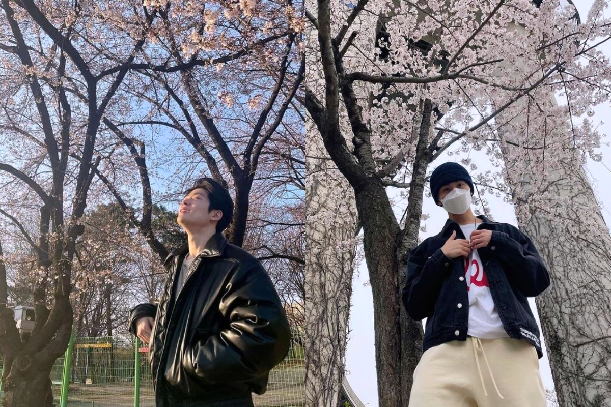 Person dressed in casual attire standing next to a cherry blossom tree, embracing the simplicity of springtime in Korea.