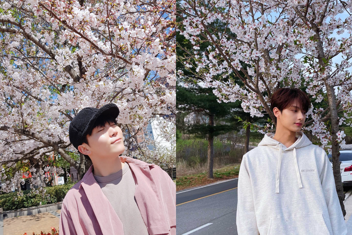 SEVENTEEN's Seungkwan and Jun enjoying the cherry blossoms, capturing lively moments in Korea's spring season.