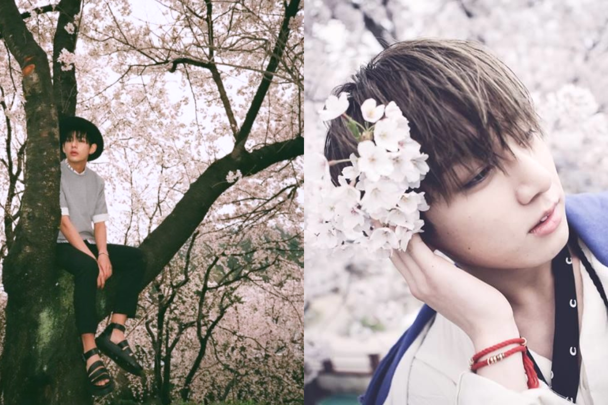 BTS member posing with pink cotton candy, embracing the whimsical nature of cherry blossoms during spring in Korea.