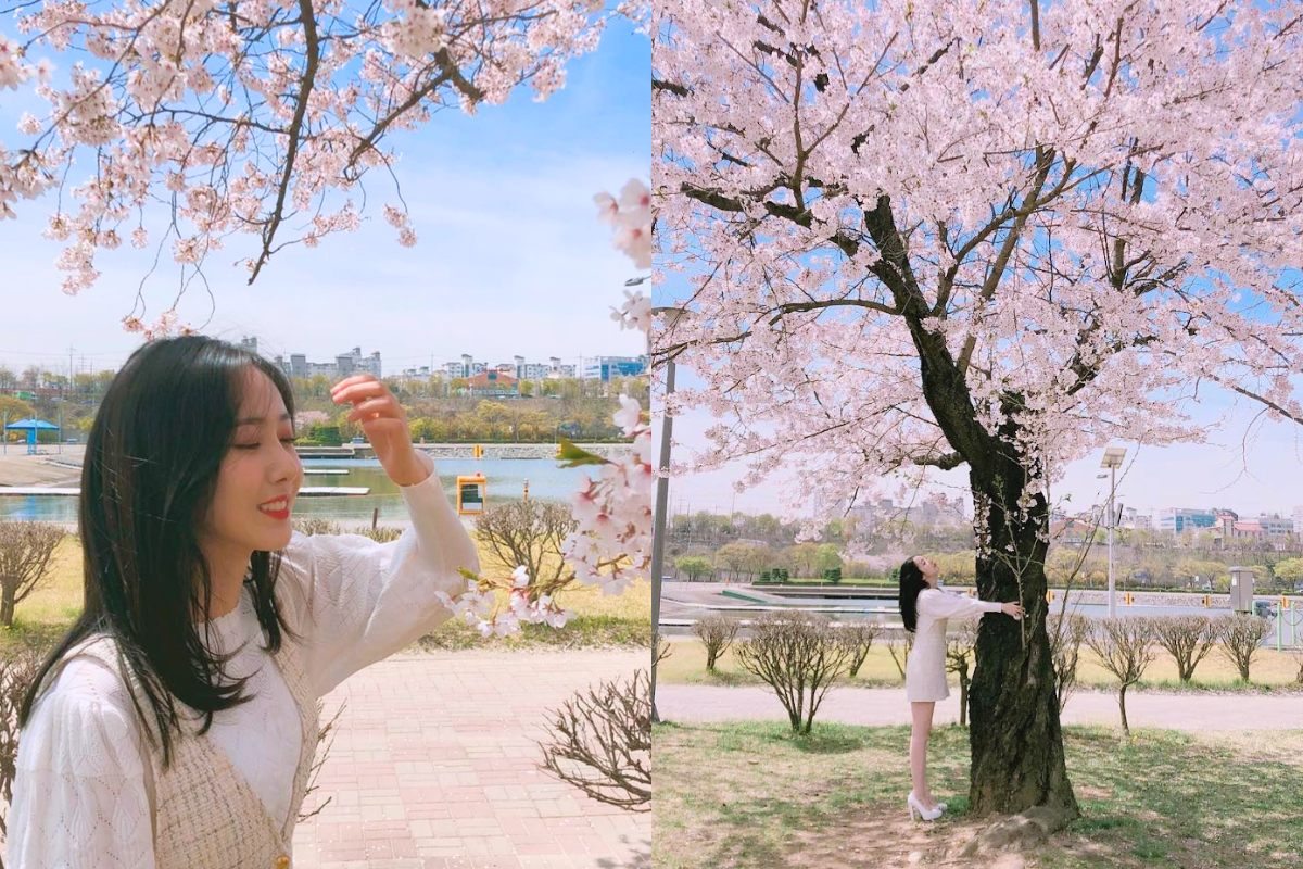 VIVIZ's SinB posing gracefully at Seokchon Lake, embodying the elegance of cherry blossoms at night in Korea.