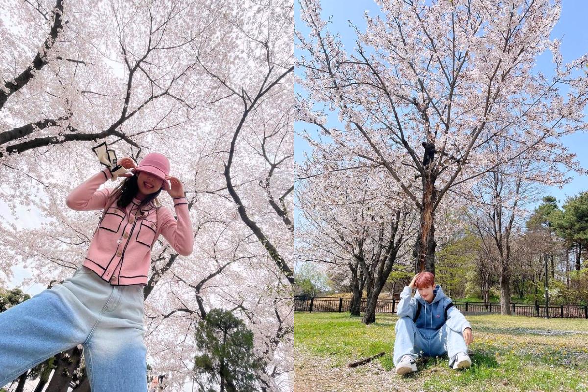 Spring Flower Photo Ideas