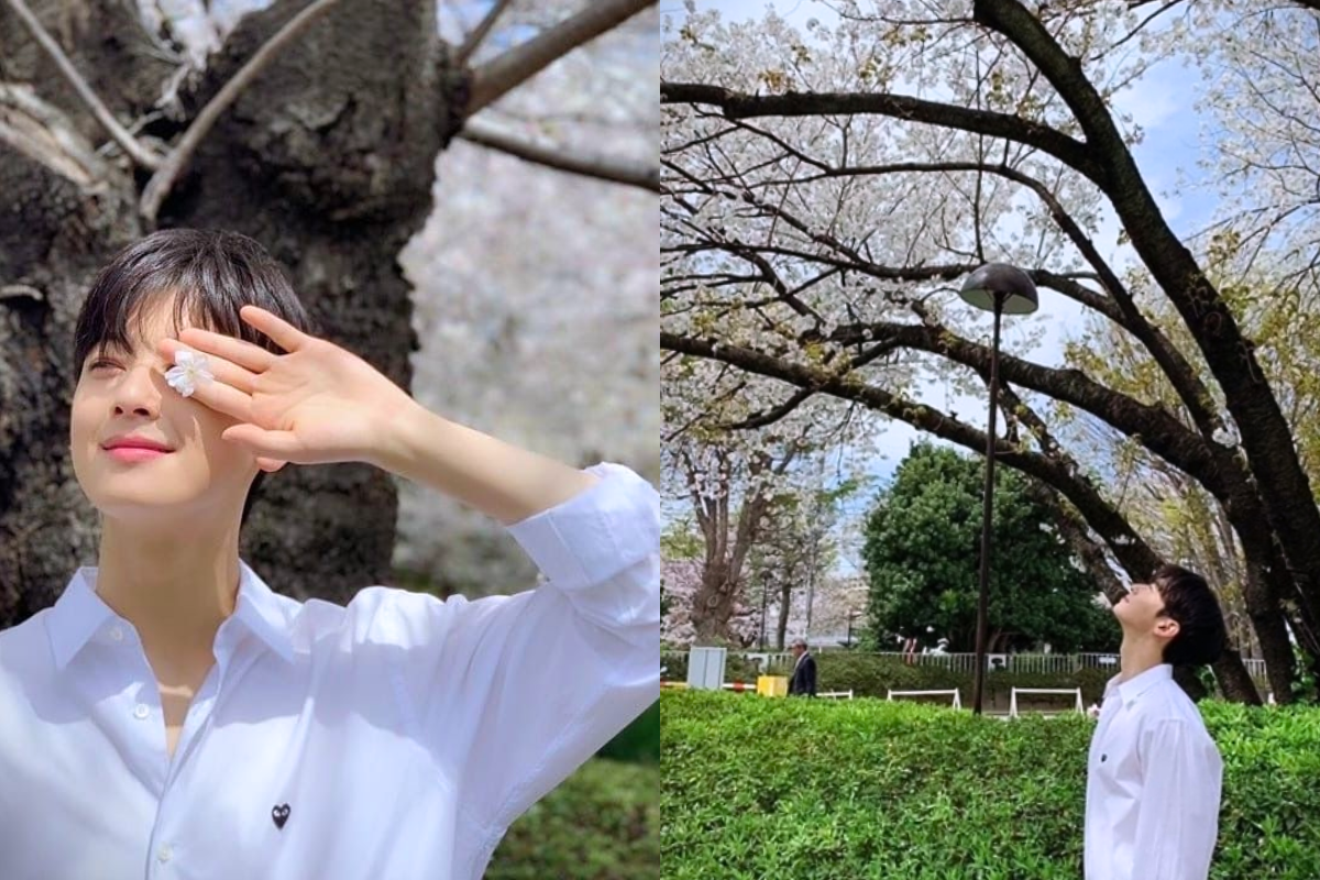 ASTRO's Cha Eunwoo holding a single cherry blossom in his hand, highlighting the simplicity and elegance of Korean springtime.