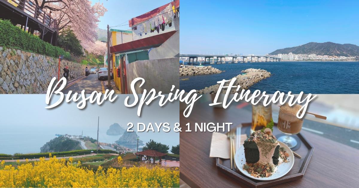 Busan Spring Itinerary | 2 Days & 1 Night