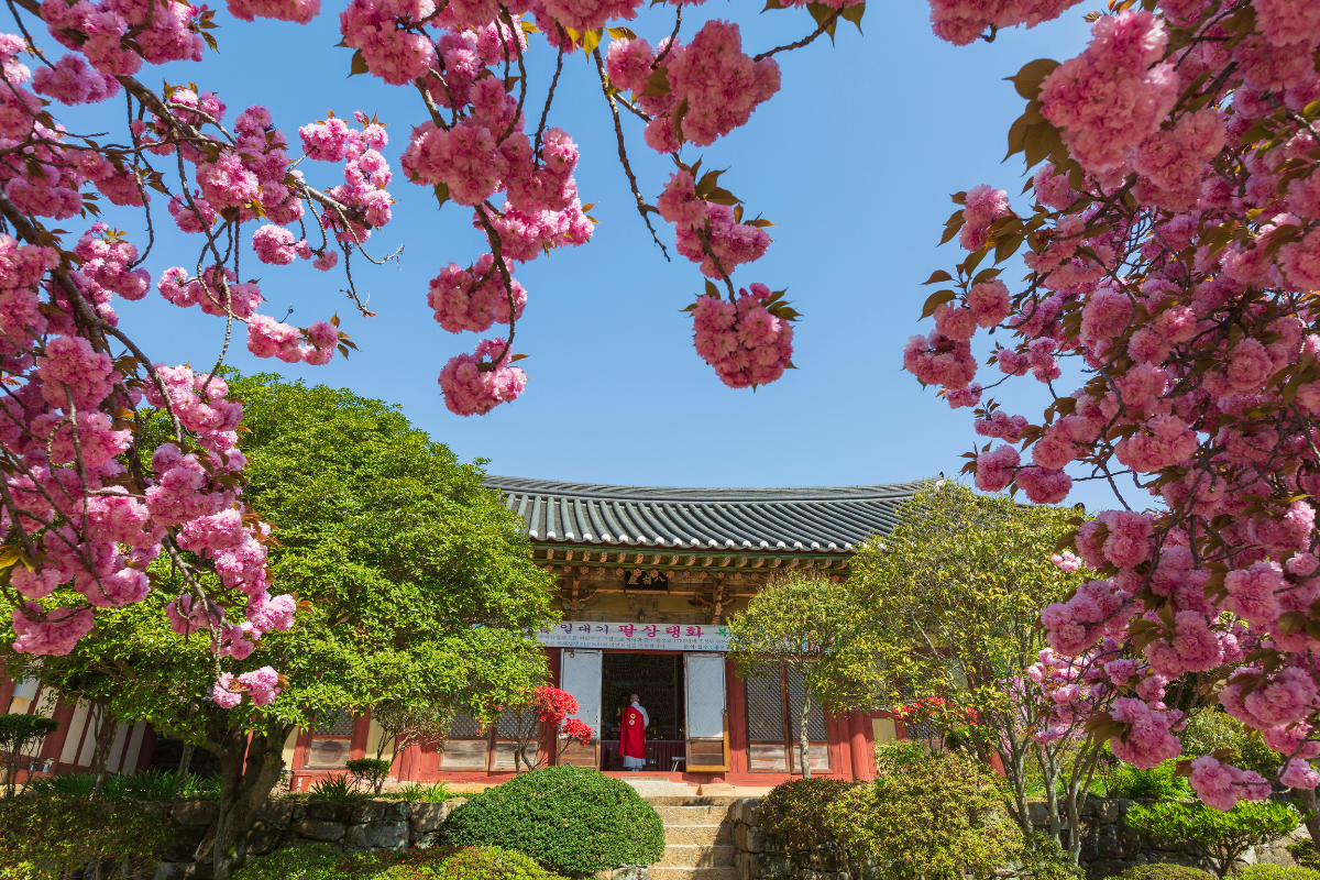 Chùa Seonamsa, chùa nổi tiếng ở hàn quốc 