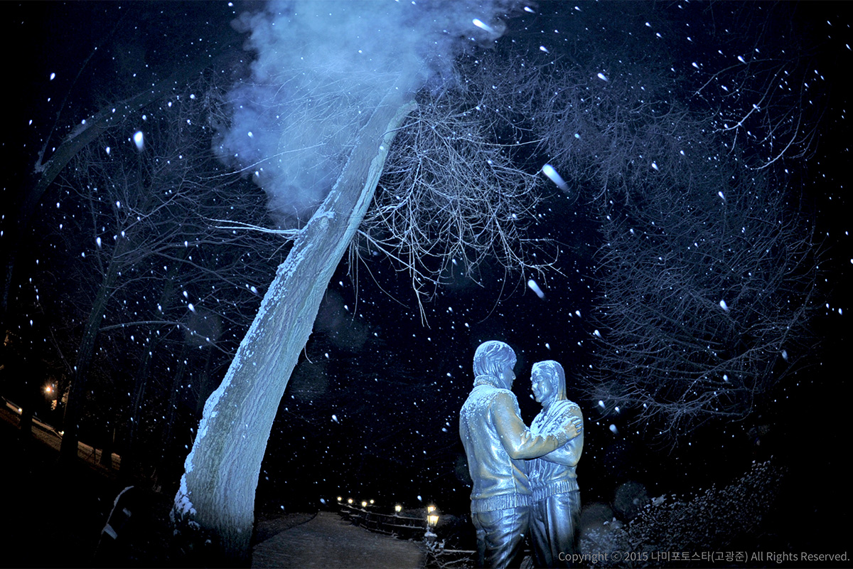 mùa đông tại đảo Nami, Hàn Quốc