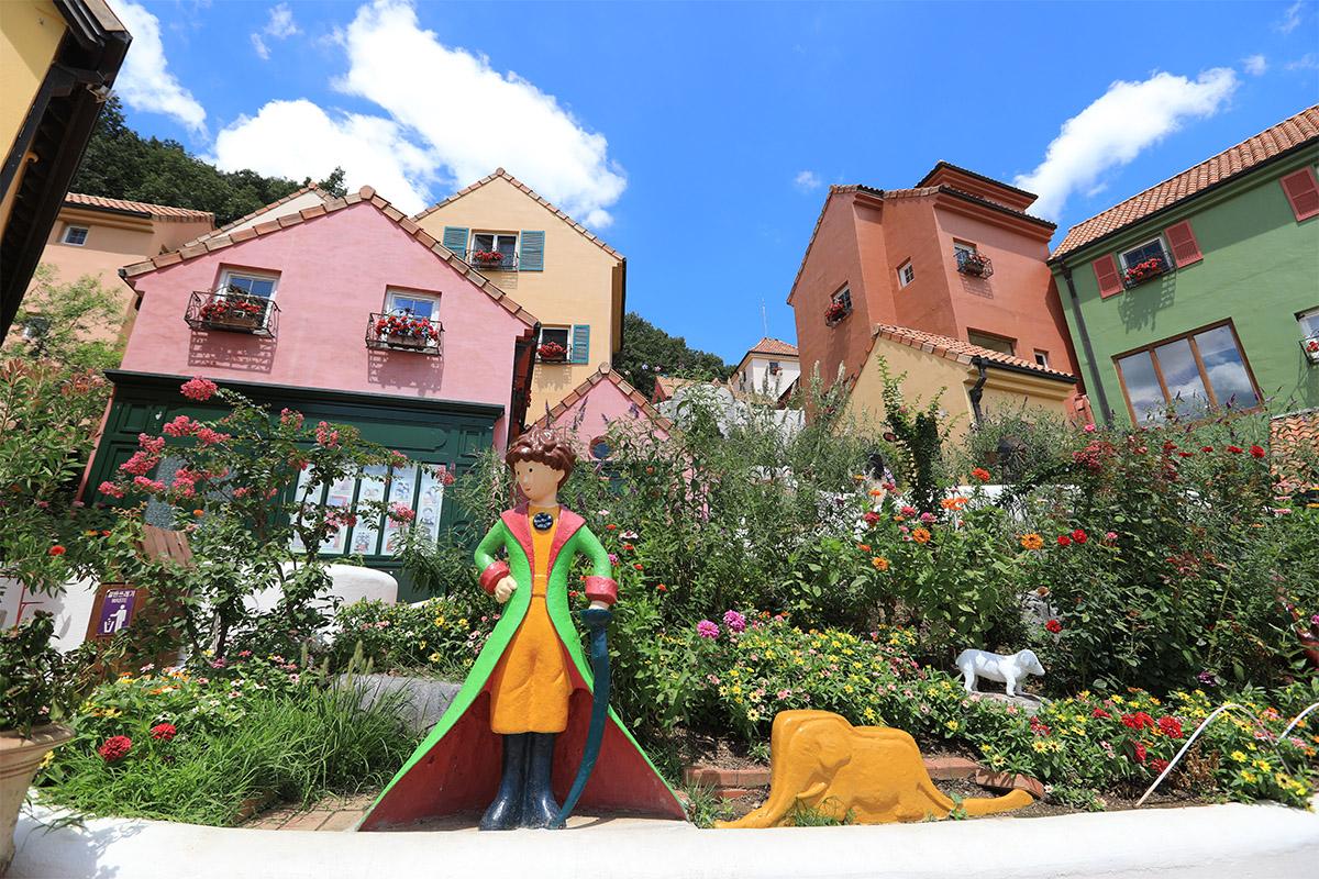 hoa hồng ở Petite France, Hàn Quốc