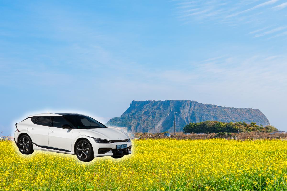 Jeju Island Rental Car (Insurance Included) | The Safe Rental Car